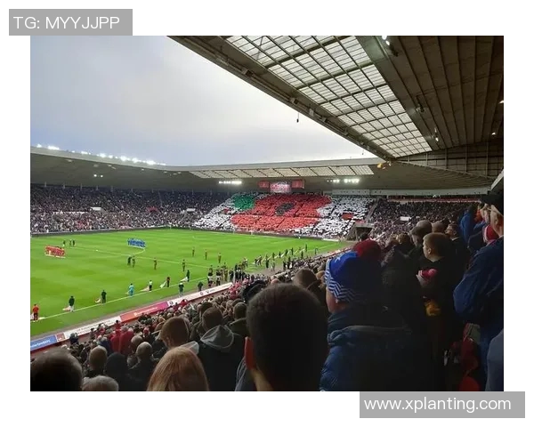 大号码球星在绿茵场上的辉煌历程与传奇时刻解析